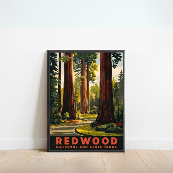 Redwood National and State Parks Giant Trees Winding Road Travel Poster