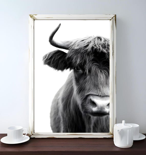 Highland Bull Wall Art Rustic Farmhouse Decor Western Room Decor Cowboy Wall Art Wall Decor Boho Wall Art Rodeo Wall Decor Bull Poster