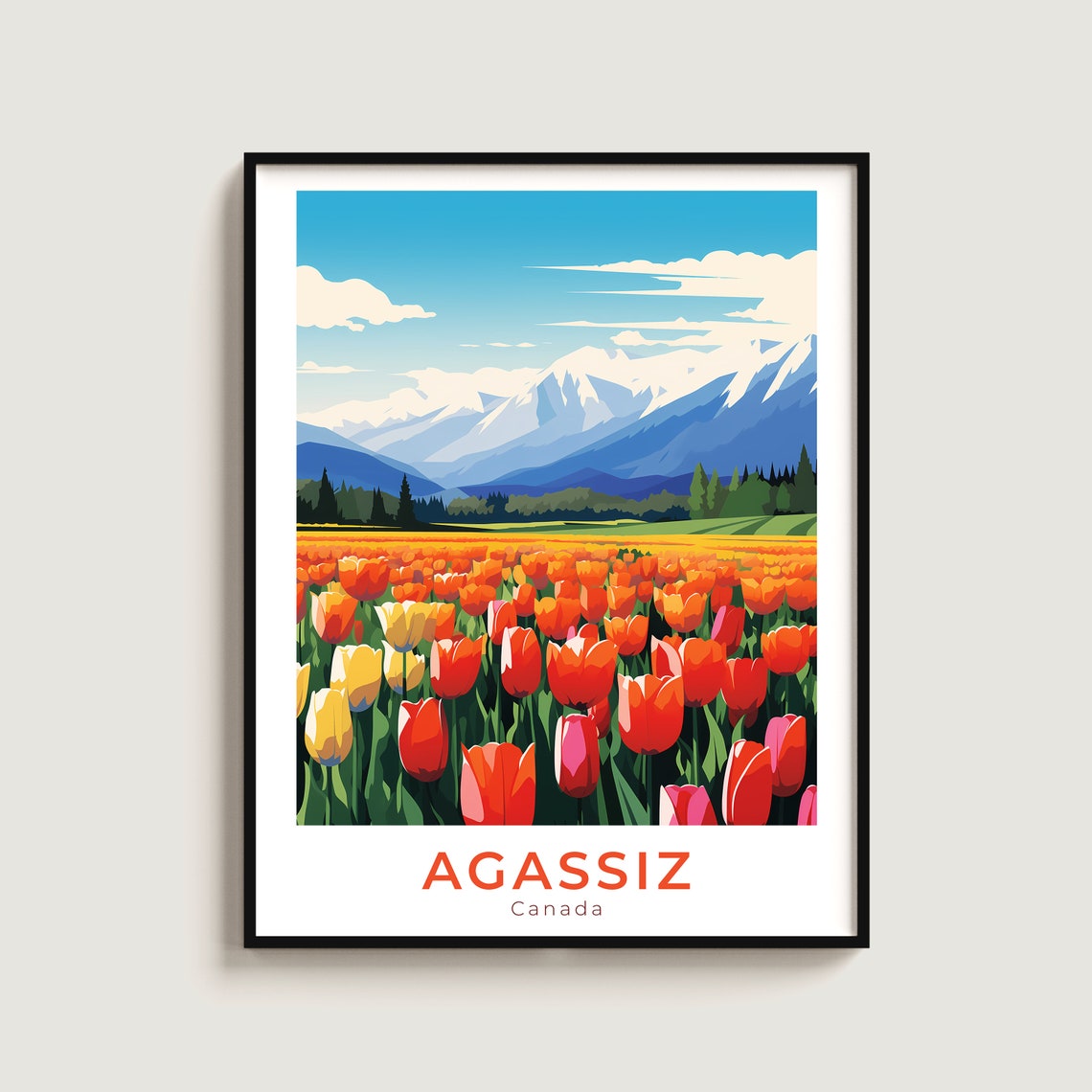Agassiz Canada Tulip Field Bloom Snow Mountain Spring View Poster