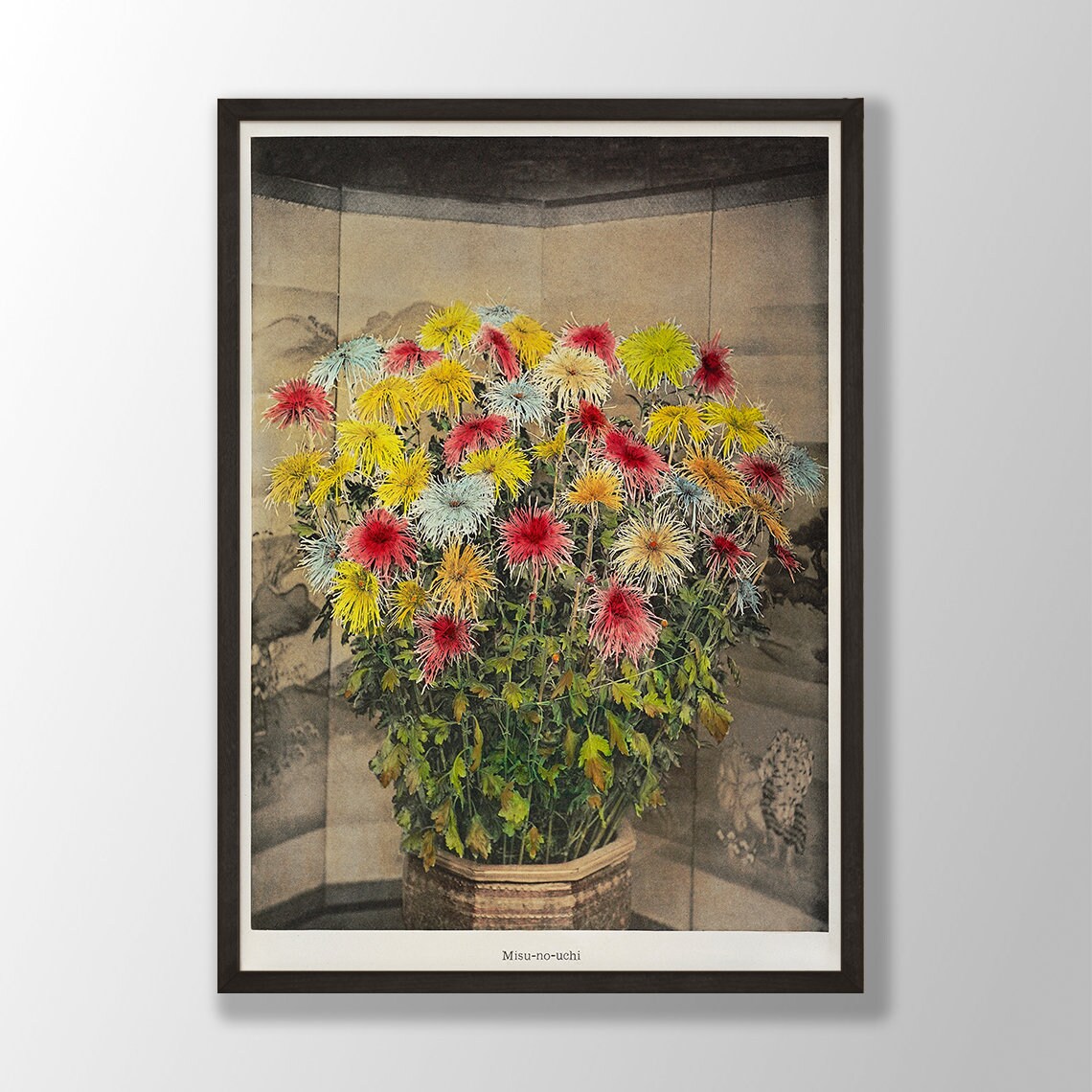 Misu No Uchi Colorful Spider Chrysanthemum Potted Japanese Poster
