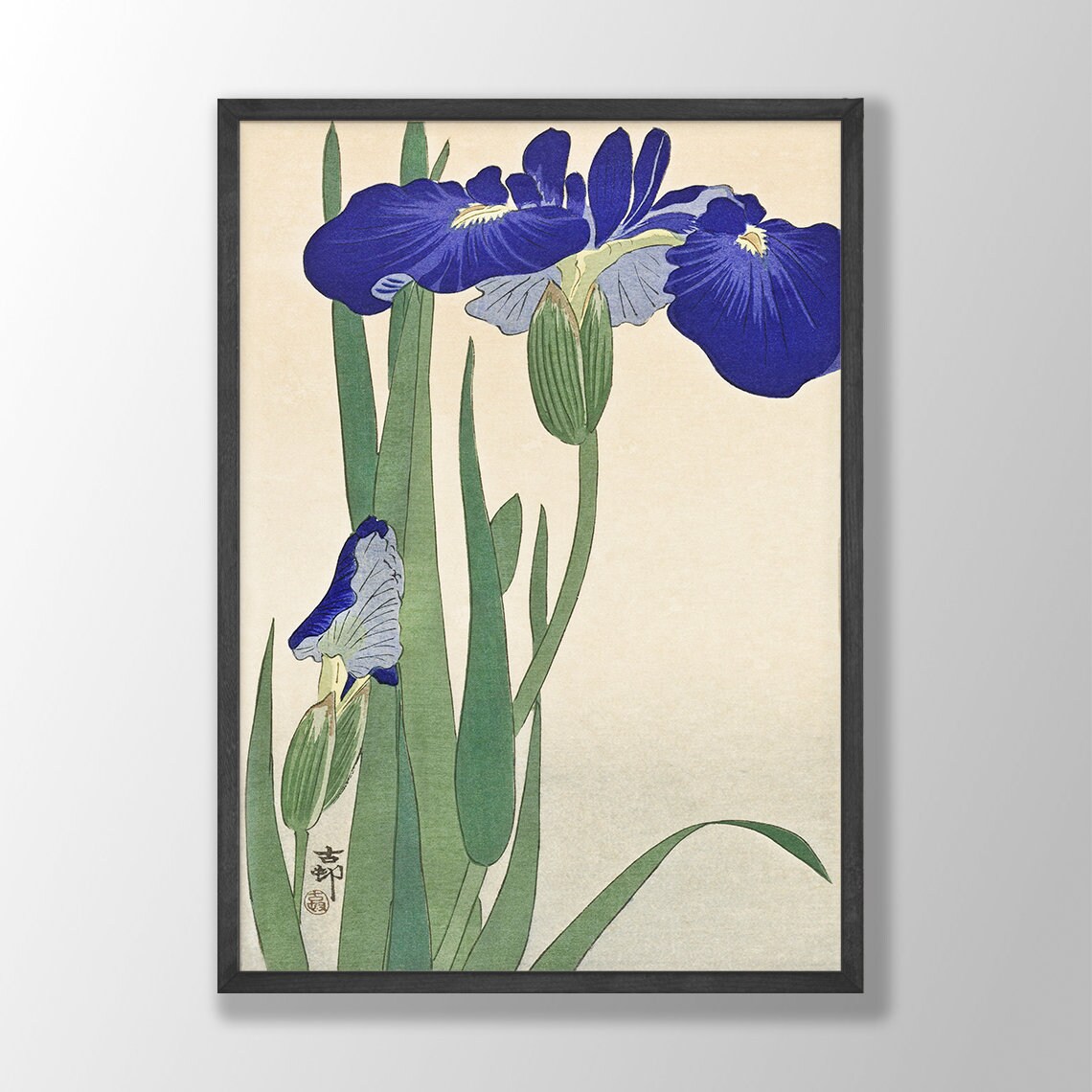 Japanese Blue Iris Art Print, Farmhouse Decor