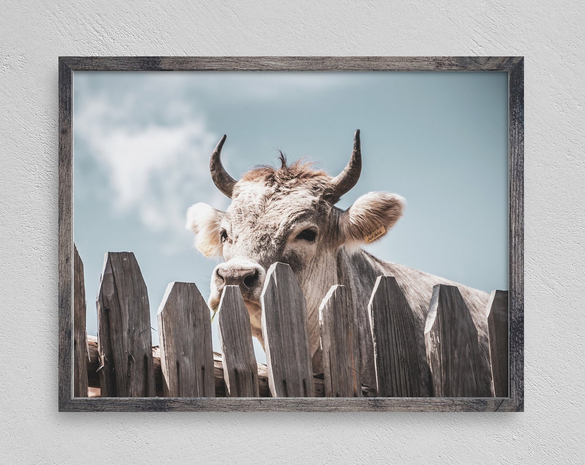 Cow Print Rustic Farm Art