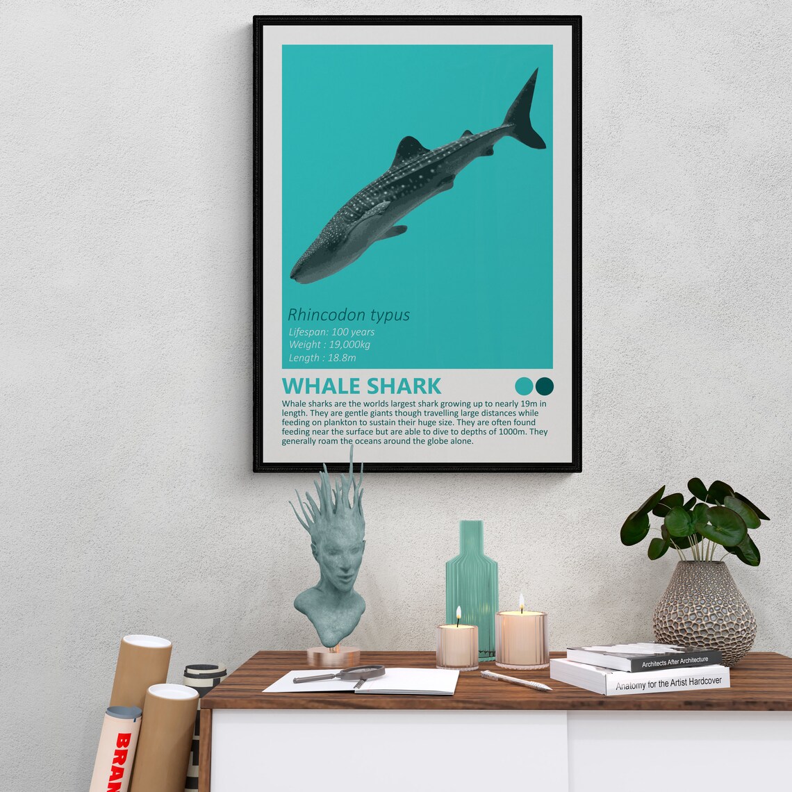 Whale Shark Rhincodon Typus Gentle Giant Educational Ocean Wall Art - Image 3