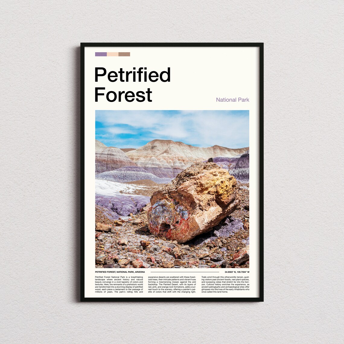 Petrified Forest Arizona Painted Desert Wood Log Photo Poster