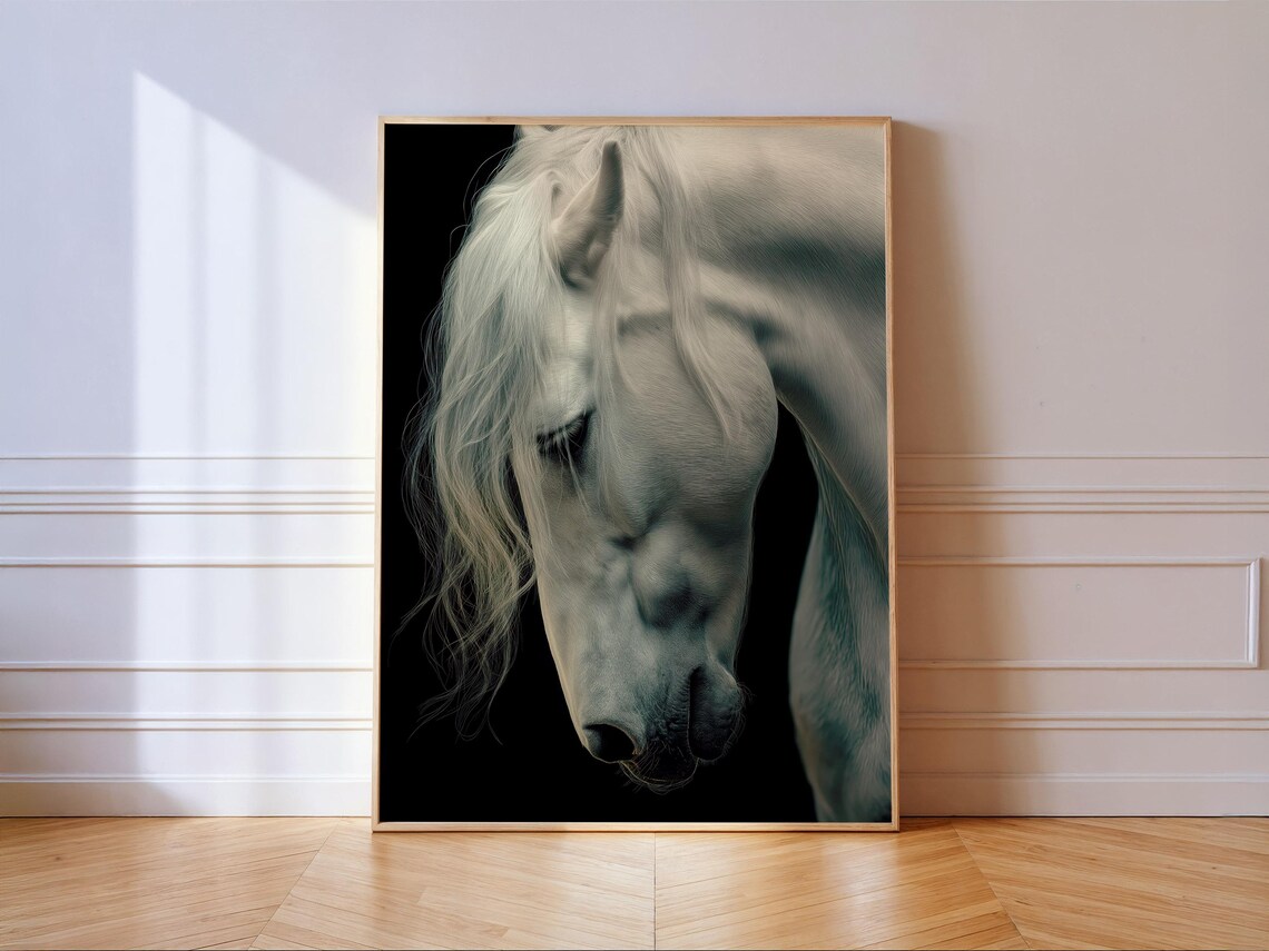 White Horse Majestic Stallion Portrait Black Background Wall Art