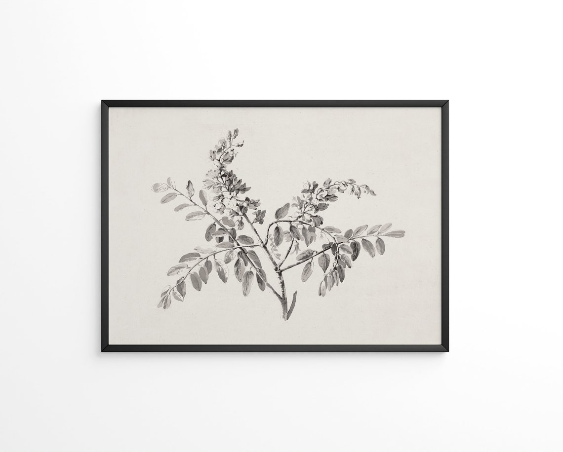 Vintage Botanical Branch Sketch Flowering Twigs Ink Drawing Poster - Image 3