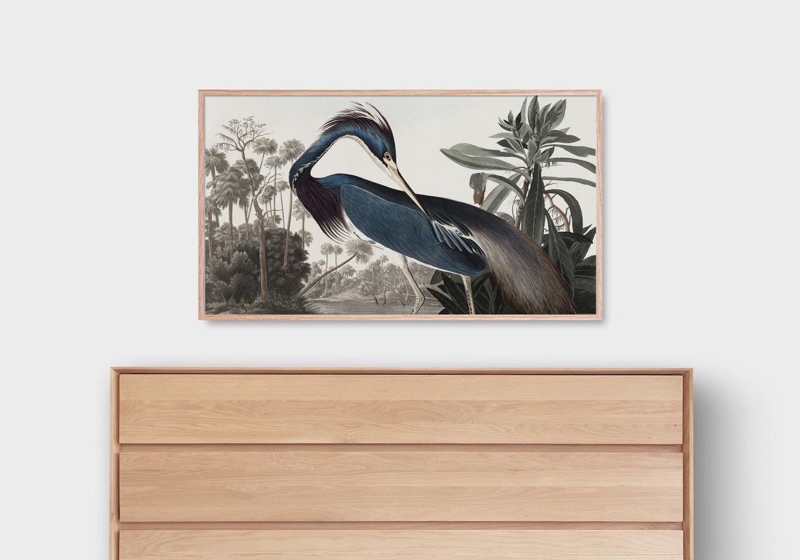 Louisiana Heron Audubon Style Palm Marsh Vintage Bird Art Poster - Image 2
