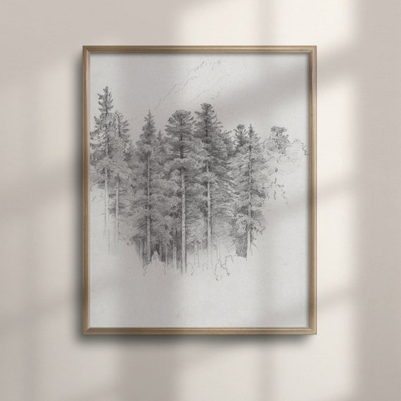 Pine Tree Forest Sketch Black And White Wall Art Vintage Tree Illustration Forest Drawing Poster C16 816