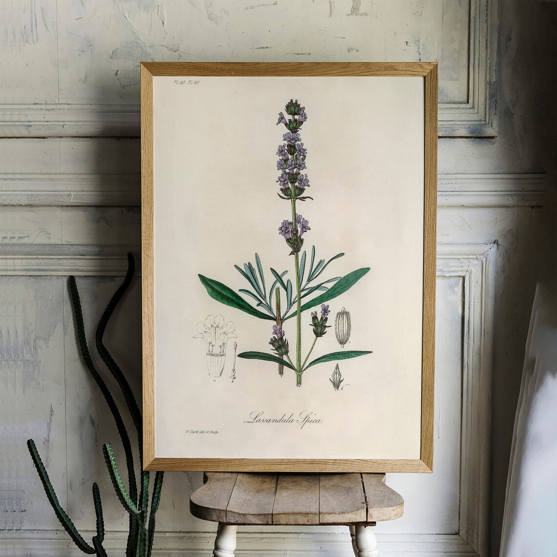 Lavender Vintage Botanical Art Print, Kitchen Decor - Image 2