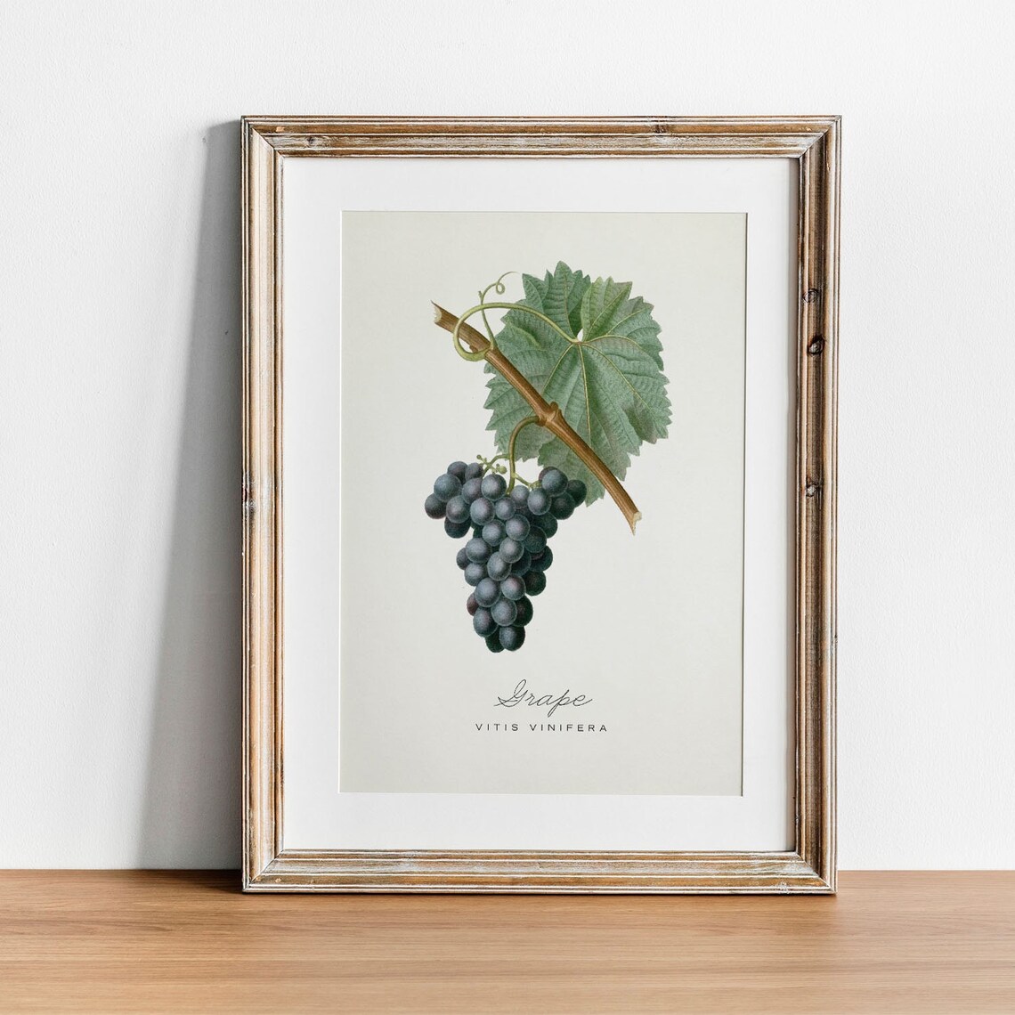 Vintage Grape Kitchen Botanical Art Print - Image 3
