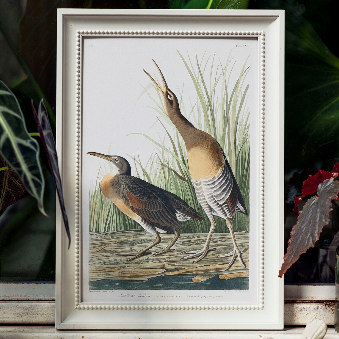 Marsh Birds Antique Bird Painting Vintage Art Print - Image 4