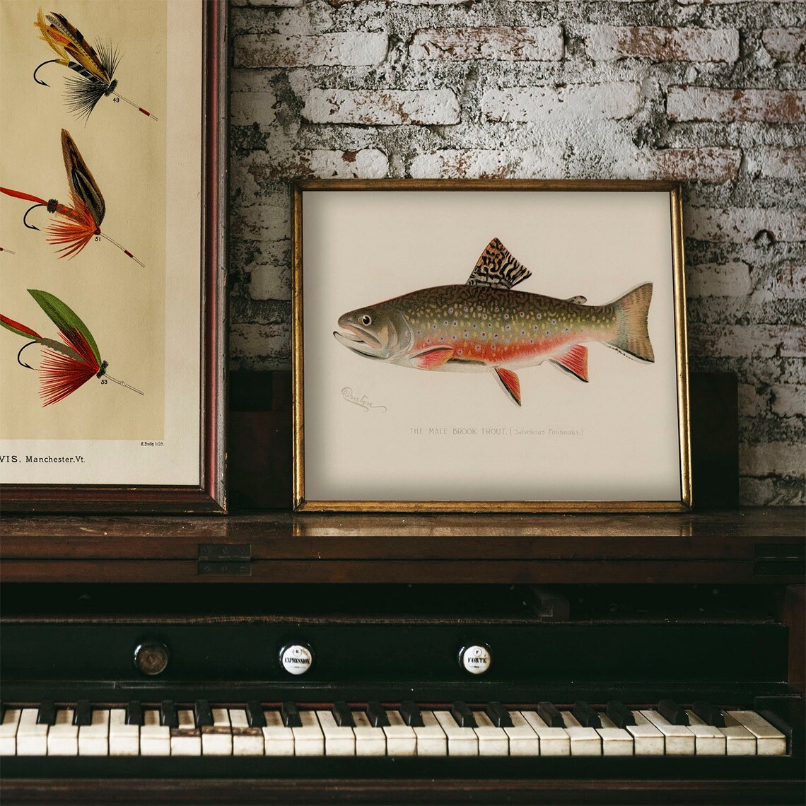 Male Brook Trout Vintage Fishing Poster Art Print - Image 3