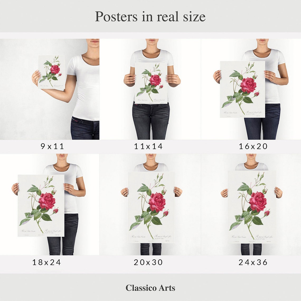 Red Rose Botanical Engraving Vintage Flower Art Print for Home - Image 2