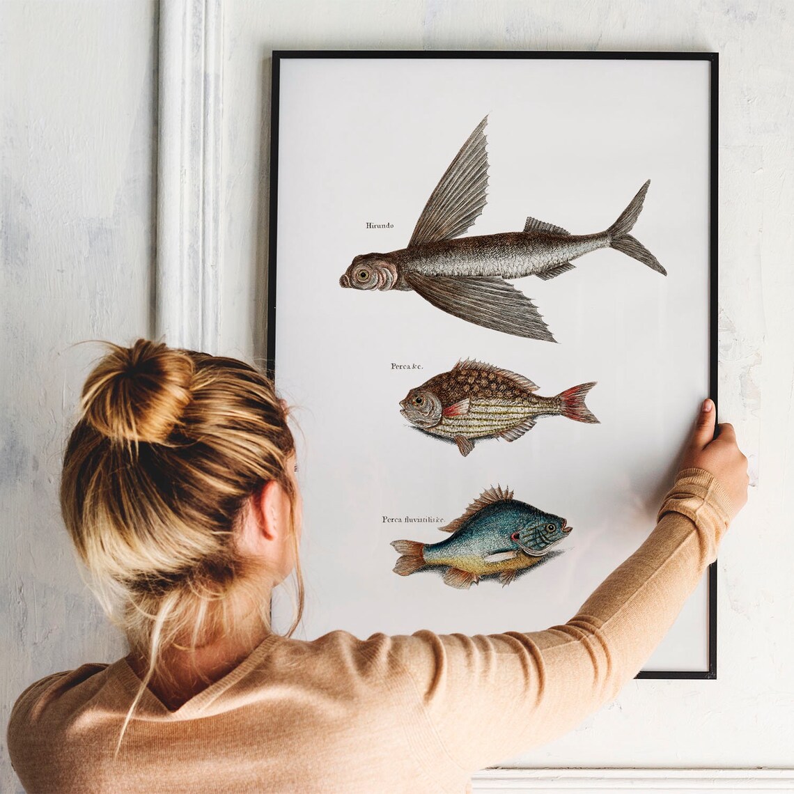 Antique Fish Engraving Three Vintage Species Illustration Poster - Image 3