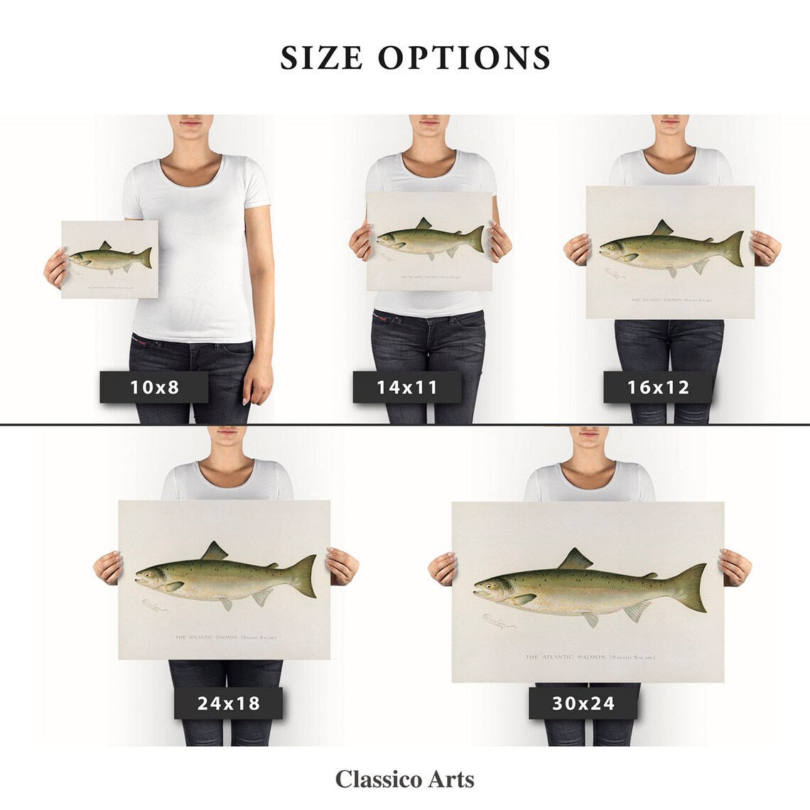 Atlantic Salmon Salmo Salar Vintage Fish Illustration Nautical Poster - Image 3