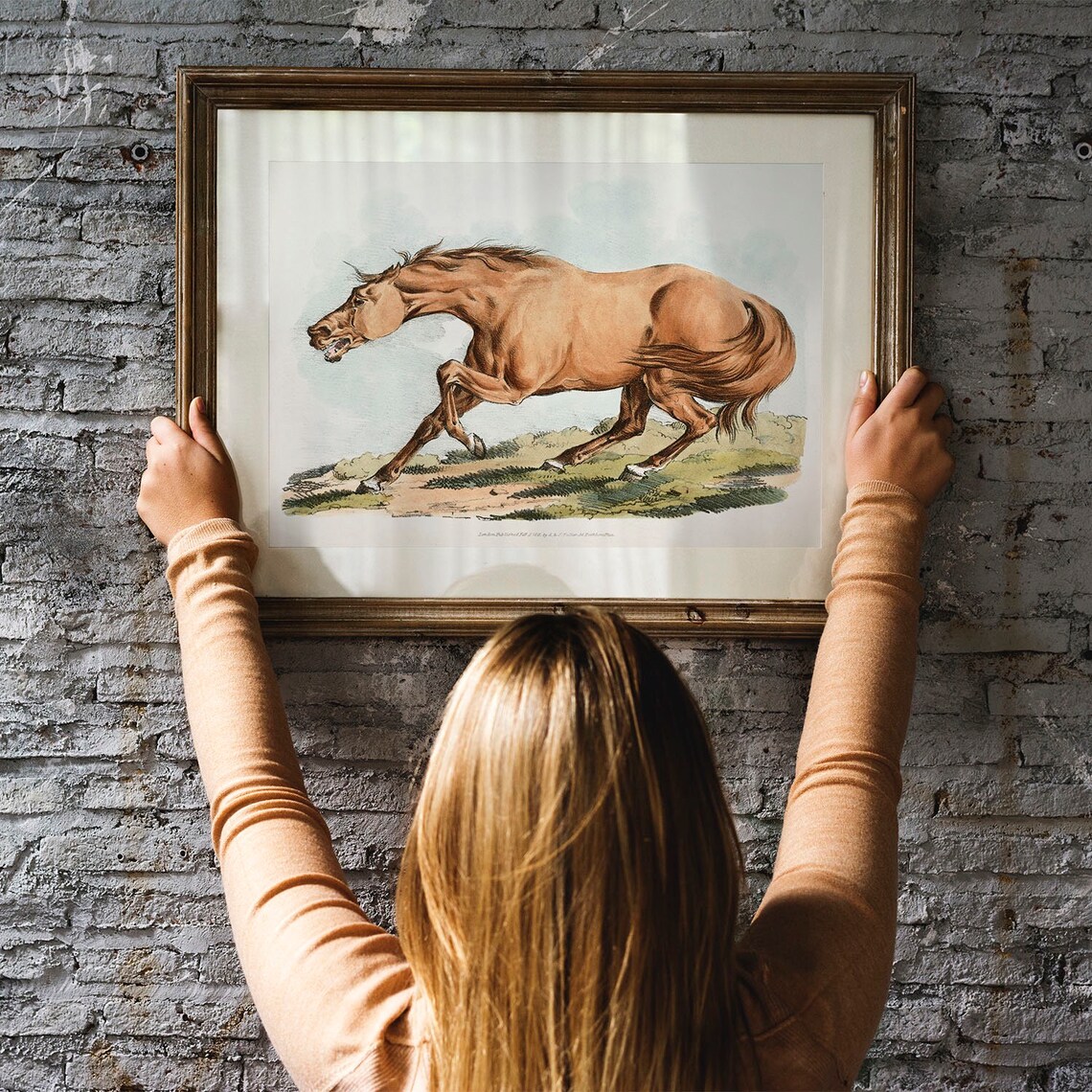 Horse Vintage Drawing Poster, Antique Illustration - Image 3