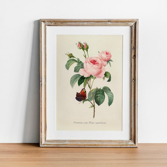 Rose Vintage Botanical Victorian Poster Art Print