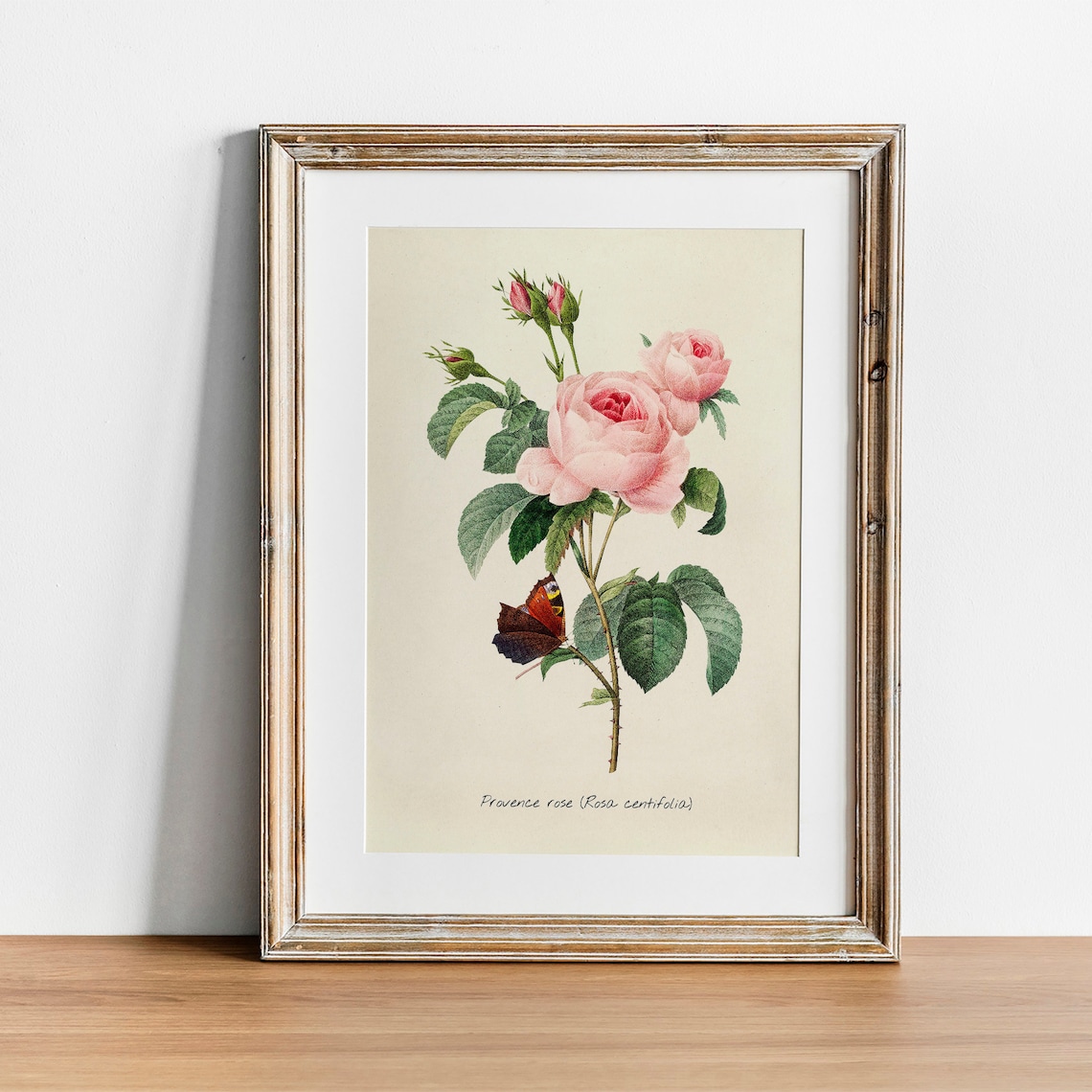 Rose Vintage Botanical Victorian Poster Art Print