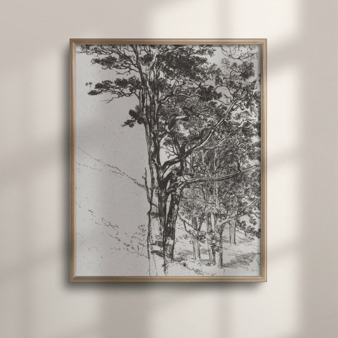 Antique Tall Forest Pine Trees Neutral Vintage Pencil Sketch Print