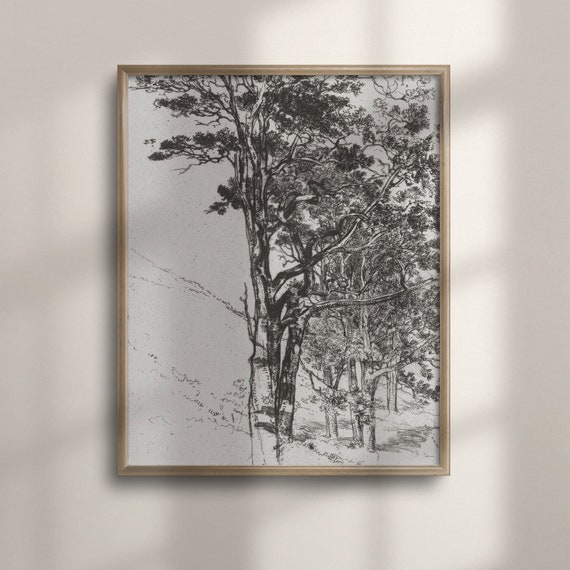 Vintage Forest Tree Sketch Neutral Wall Art Minimalist Farmhouse Decor Simple Artwork Poster C16 1115