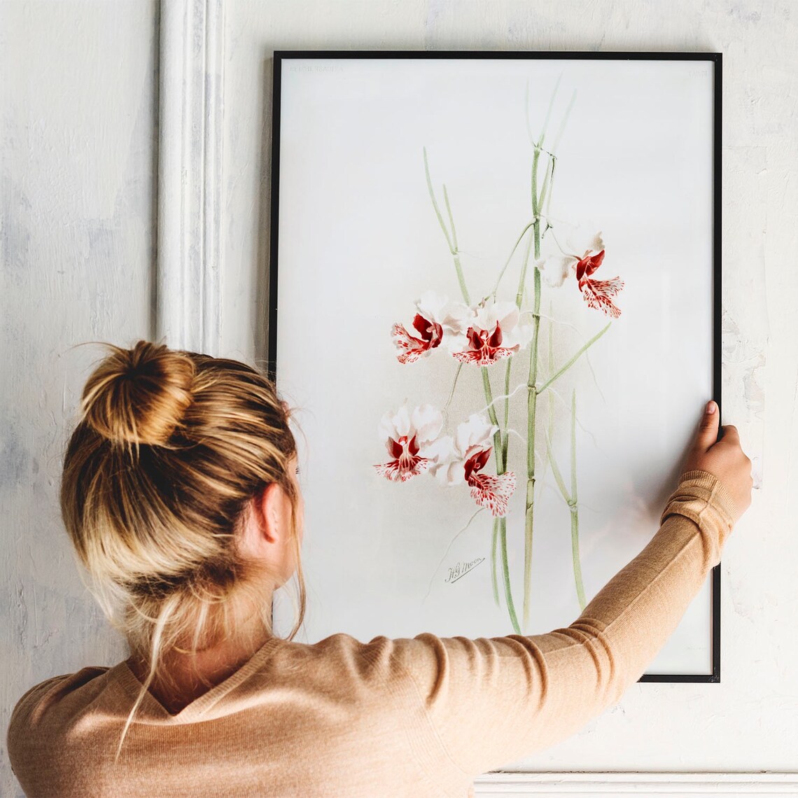 Vintage Vanda Orchid Botanical Illustration Delicate Floral Art Poster - Image 4