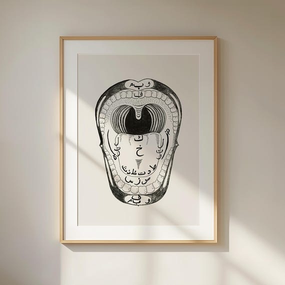 Learn Arabic Alphabet Anatomy Art Print