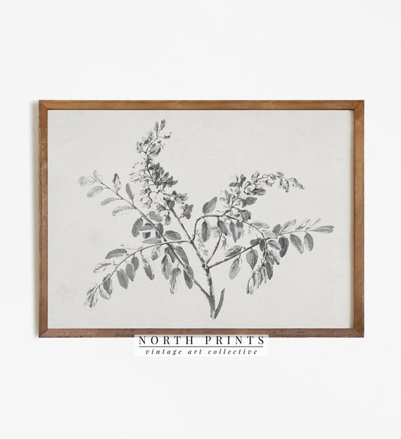 Vintage Branch Sketch Neutral Botanical Art Print