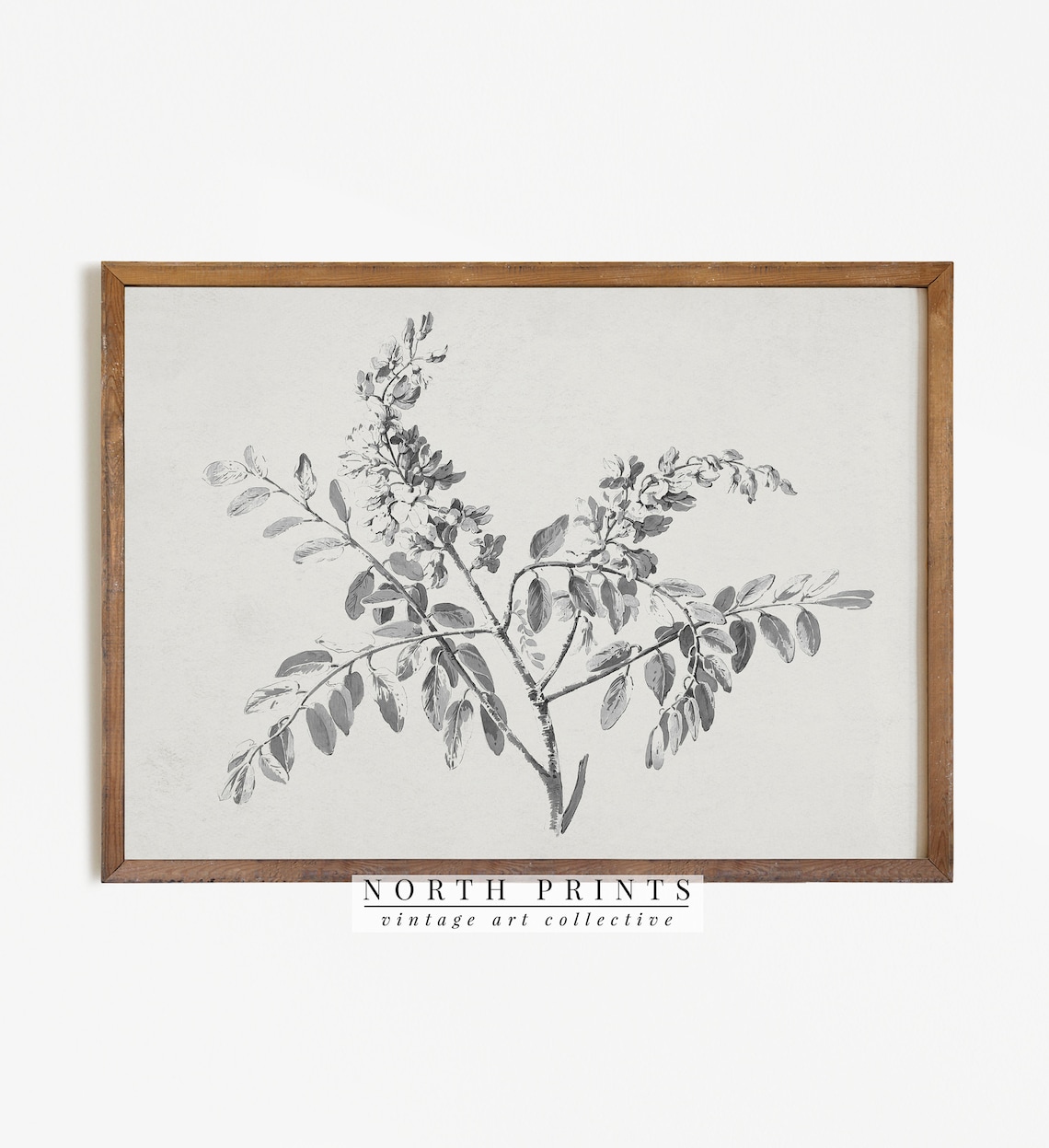 Vintage Branch Sketch Neutral Botanical Art Print