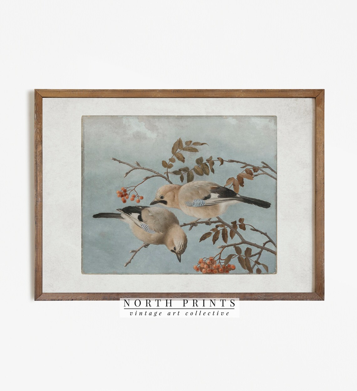 Antique Bird Art Print, Vintage Farmhouse Decor