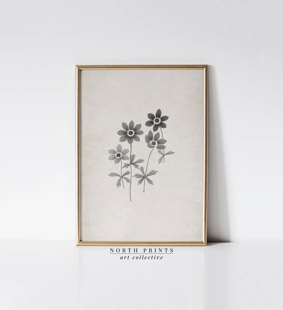 Gray Anemone Flower Botanical Illustration Vintage Nursery Wall Art - Image 4