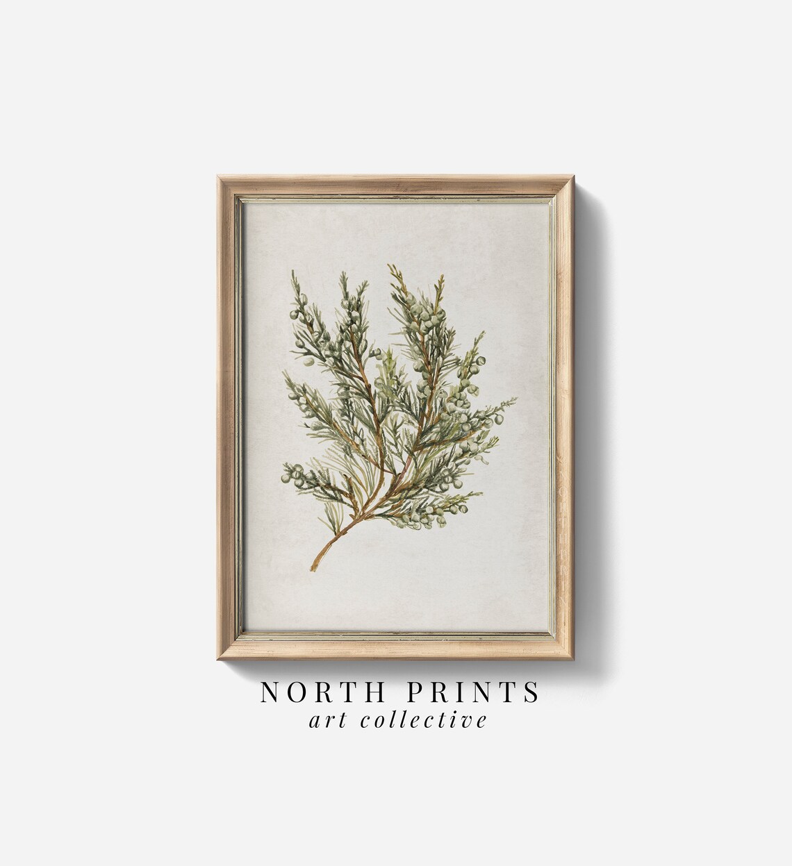 Rustic Botanical Winter Country Art Print