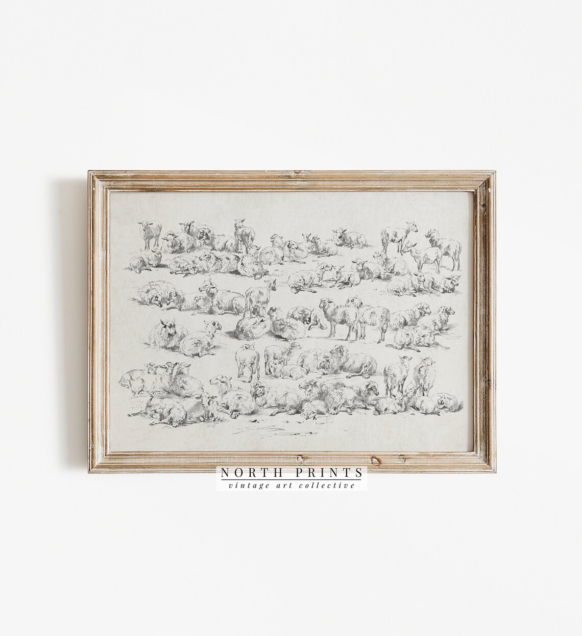Flock of Sheep Study Drawing Antique Pencil Sketch Animals Wall Art - Image 3