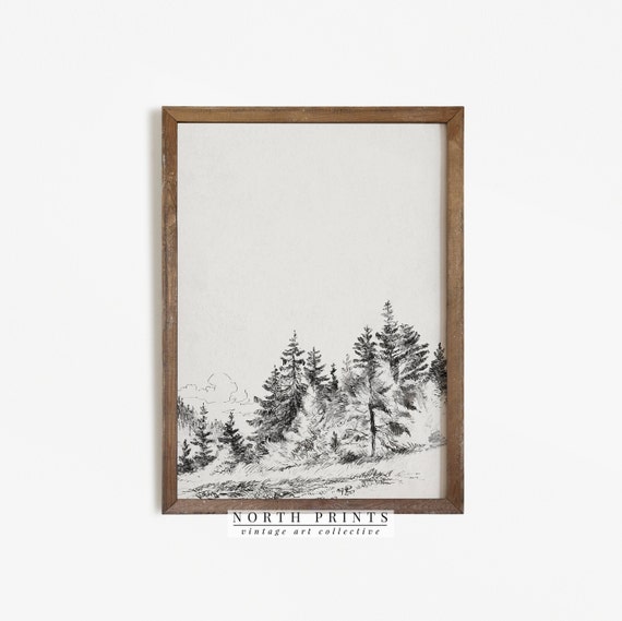 Vintage Tree Study, Forest Sketch Landscape