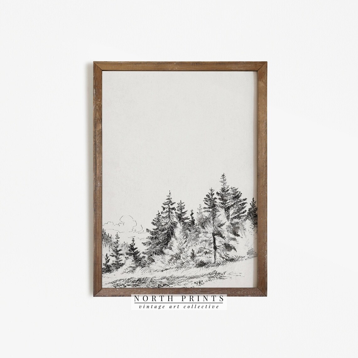 Vintage Tree Study, Forest Sketch Landscape