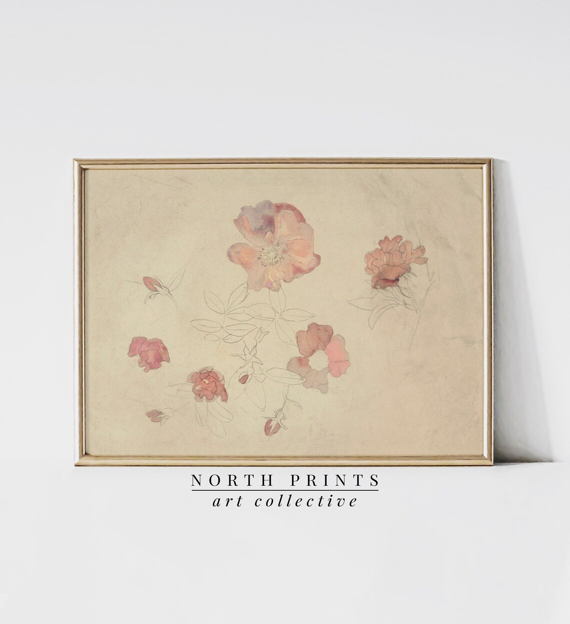 Antique Botanical Pink and Cream Watercolor Art Print - Image 4