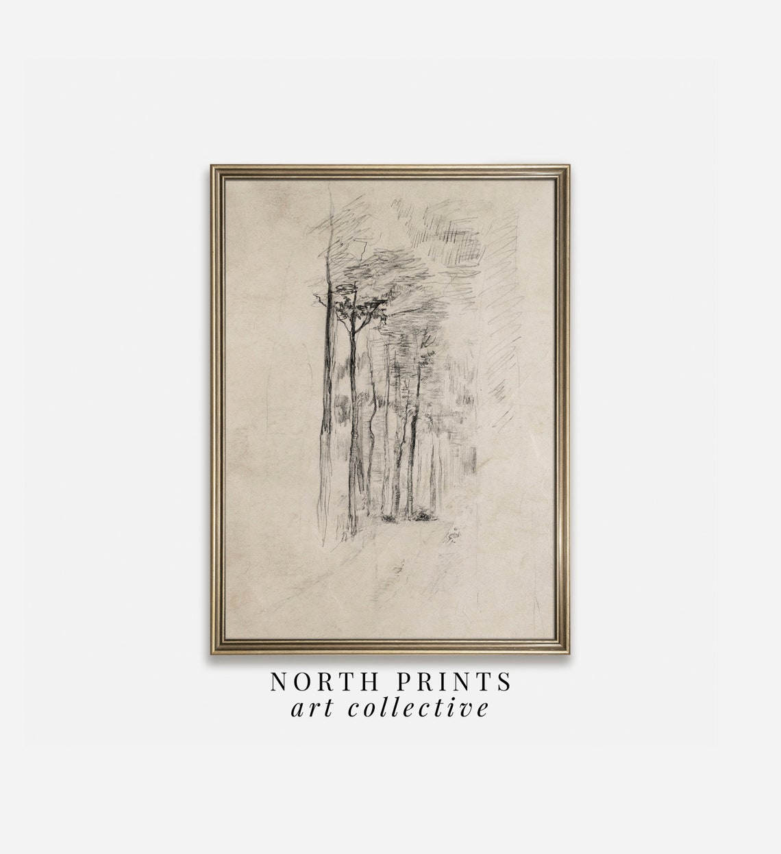 Minimalist Tree Sketch Wall Art Neutral Rustic Forest Drawing Art Print North Prints Sk1 16