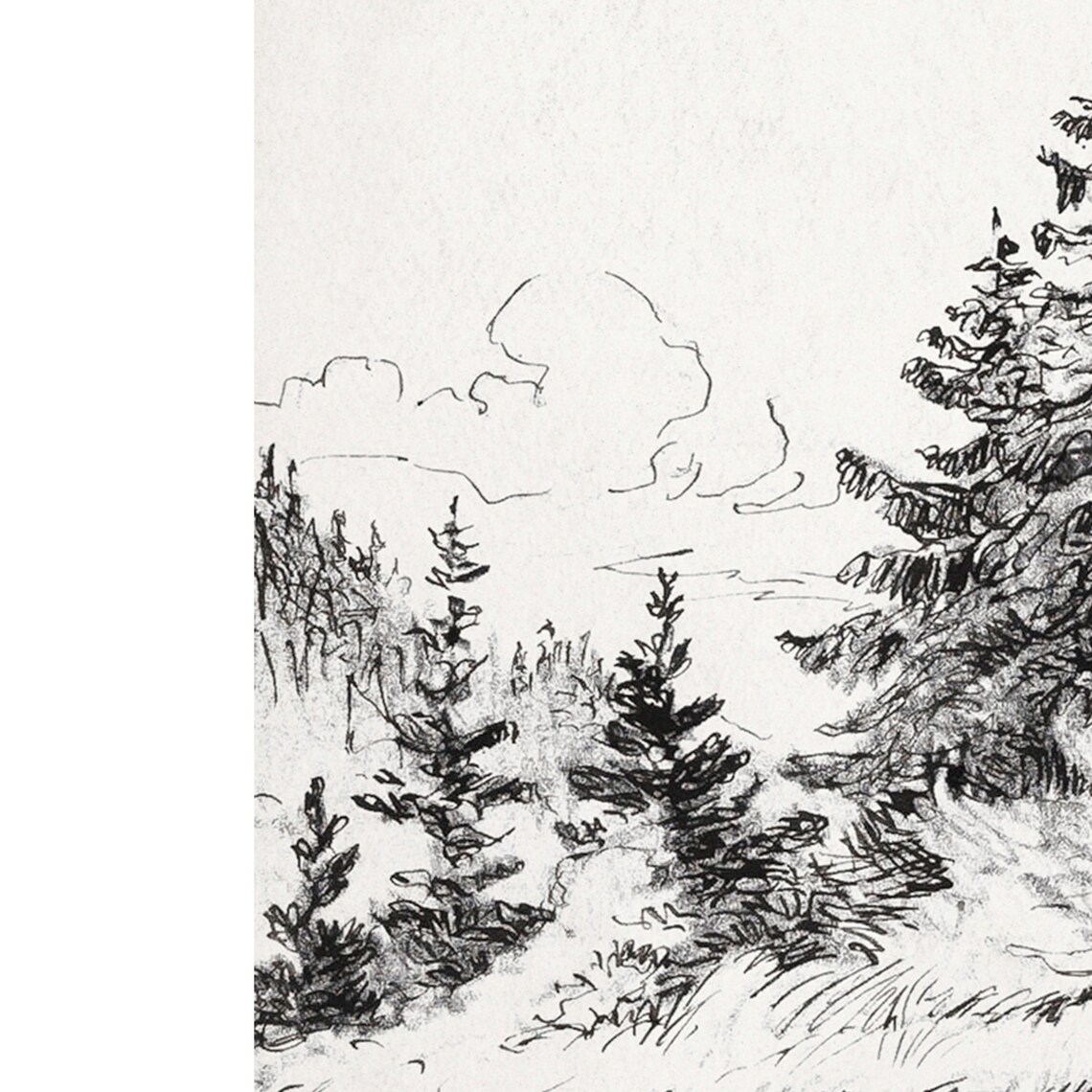 Vintage Tree Study, Forest Sketch Landscape - Image 2