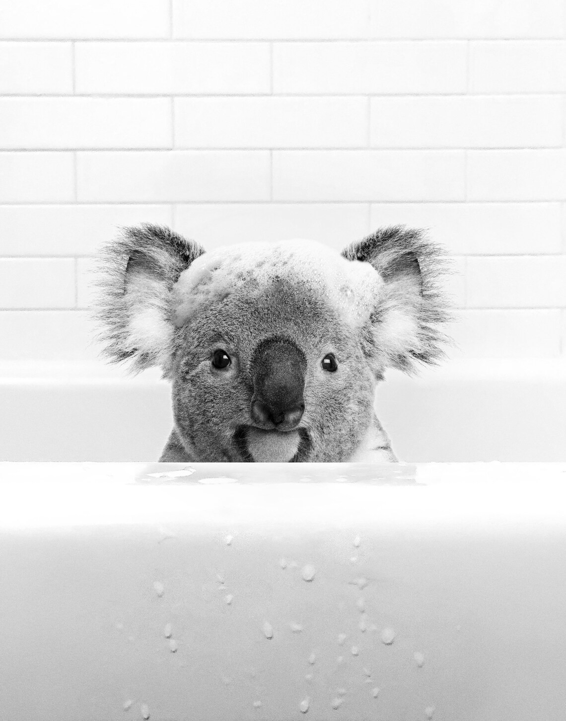 Koala Bathroom Wall Art, Whimsical Animal Print - Image 2