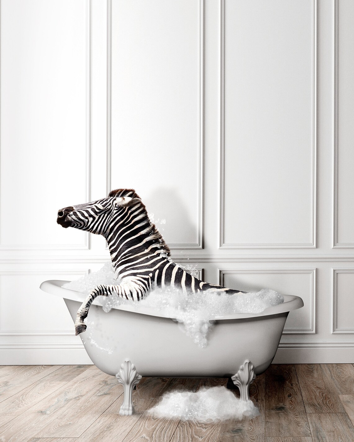 Adorable Zebra In Tub Bathroom Art Print - Image 2