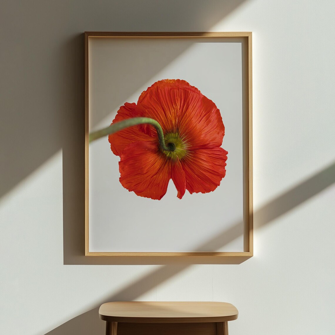 Red Poppy Flower Art Print, Floral Decor