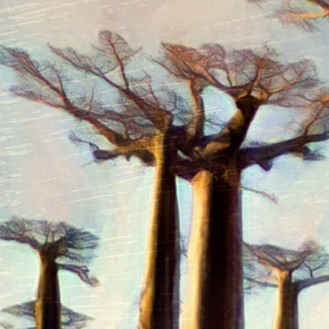 Madagascar Menabe Avenue of the Baobabs Trees Vintage Travel Poster - Image 4