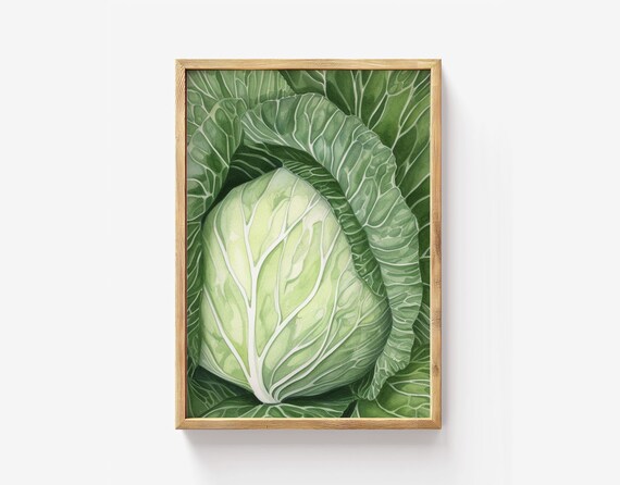Green Cabbage Head Botanical Watercolor Kitchen Decor Poster