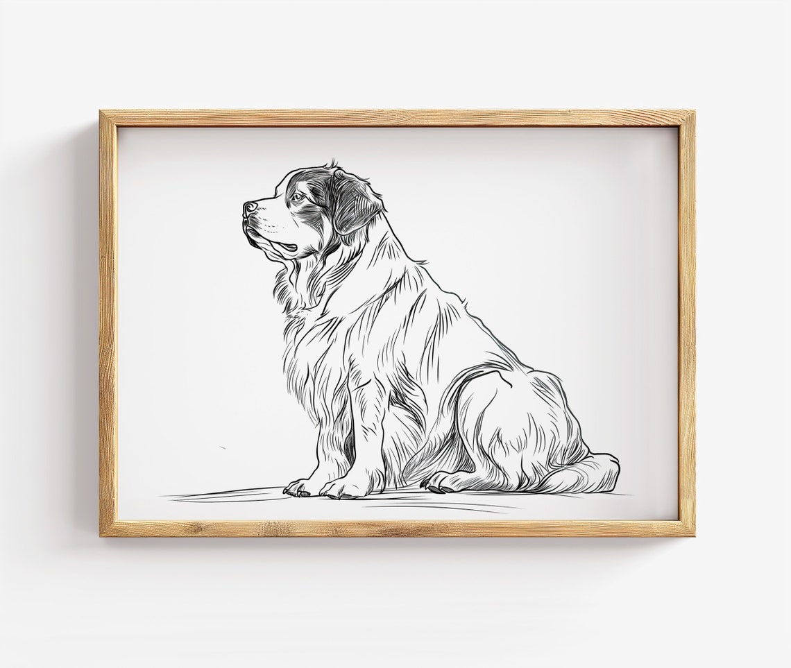 Bernese Mountain Dog Sketch Elegant Line Art Sitting Dog Poster