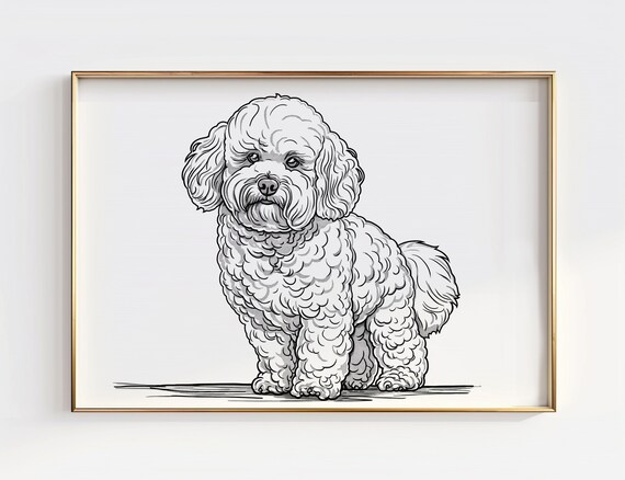 Bichon Frise Line Drawing Curly Coated Small Dog Portrait Poster