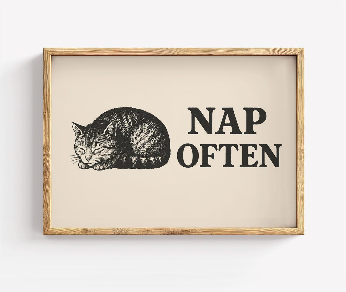 Nap Often Cat Print Cozy Minimalist Bedroom Decor