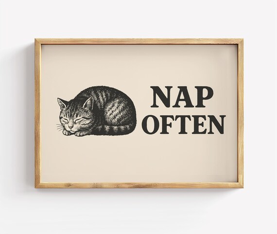 Nap Often Sleeping Cat Funny Minimalist Bedroom Quote Poster