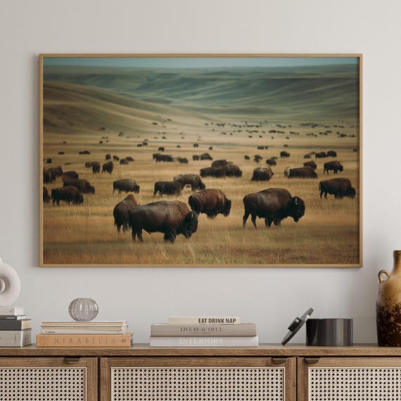Majestic Bison Herd Roams Golden Plains