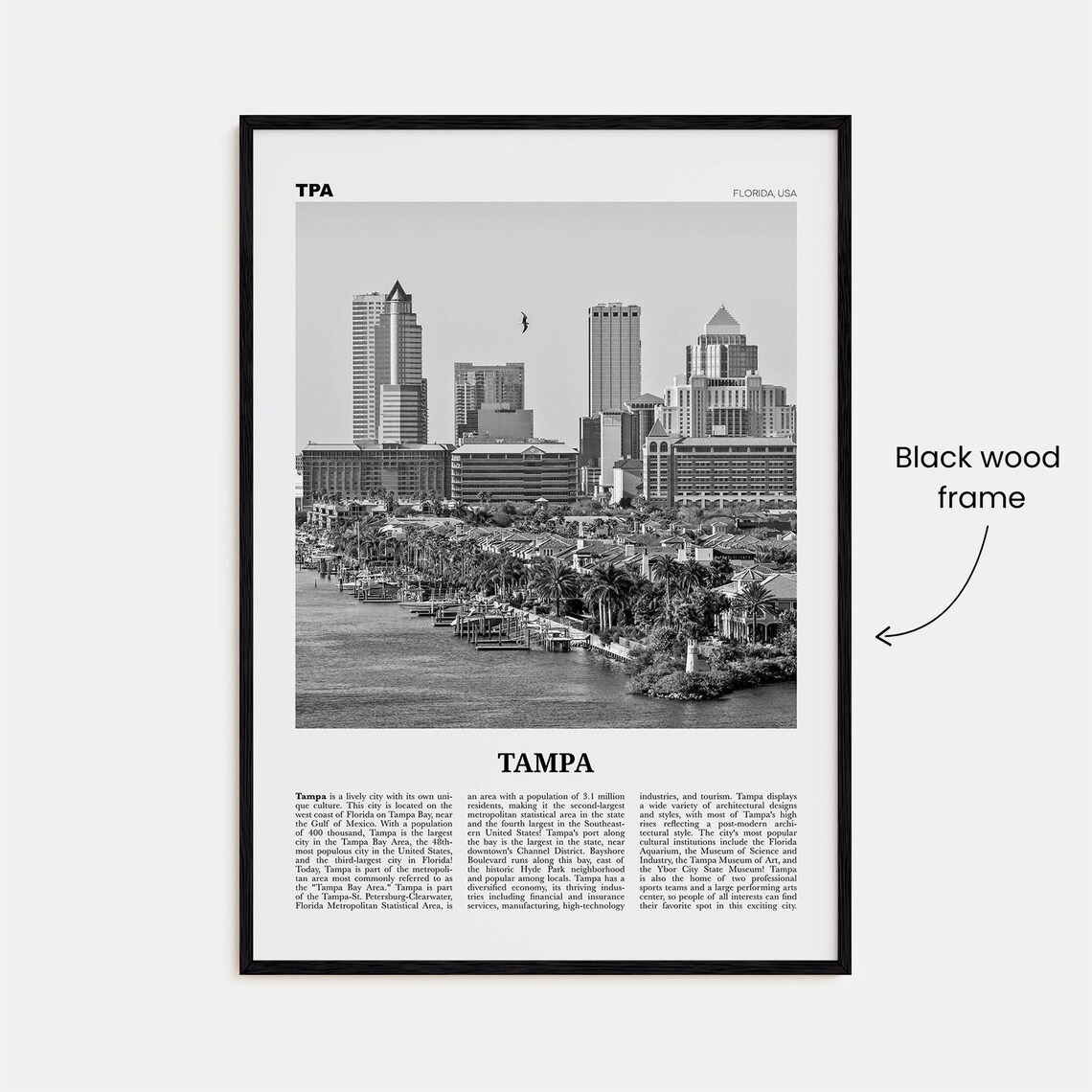 Tampa Black and White Travel Poster, Florida USA - Image 3