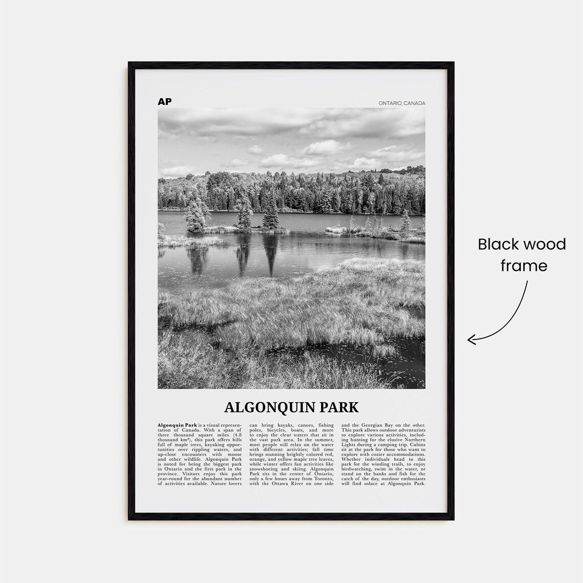 Algonquin Park Black and White Wall Art Print - Image 3
