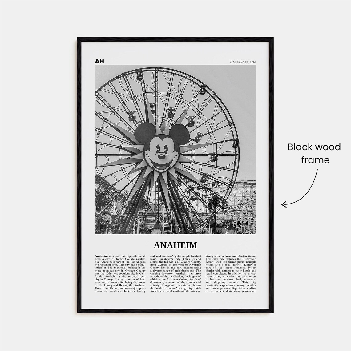 Anaheim Black and White Travel Poster, California - Image 3